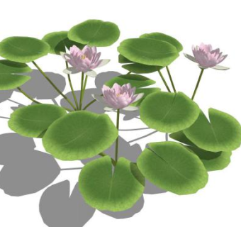 莲花su模型下载_sketchup草图大师SKP模型