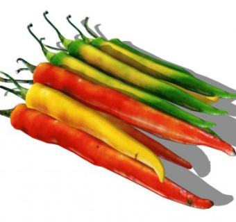 辣椒su模型下载_sketchup草图大师SKP模型