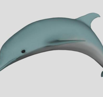 海豚su模型下载_sketchup草图大师SKP模型