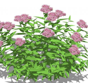 花草su模型下载_sketchup草图大师SKP模型