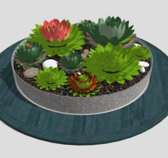 多肉植物盆栽SU模型下载_sketchup草图大师SKP模型