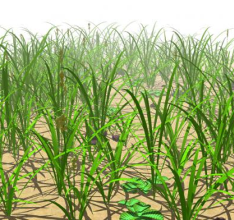 草丛SU模型下载_sketchup草图大师SKP模型