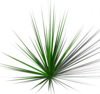 针叶草SU模型下载_sketchup草图大师SKP模型