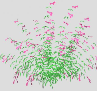 钓钟柳植物SU模型下载_sketchup草图大师SKP模型