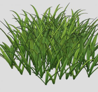 绿草丛SU模型下载_sketchup草图大师SKP模型