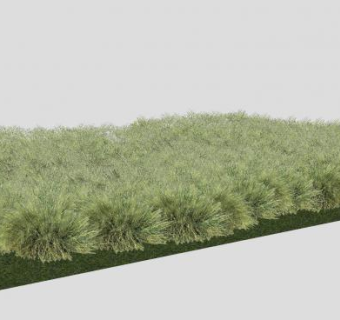 茂密的草丛SU模型下载_sketchup草图大师SKP模型