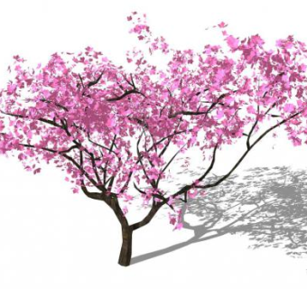 桃花su模型下载_sketchup草图大师SKP模型