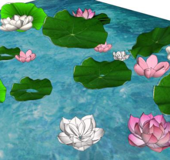 睡莲su模型下载_sketchup草图大师SKP模型