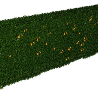 绿篱su模型下载_sketchup草图大师SKP模型