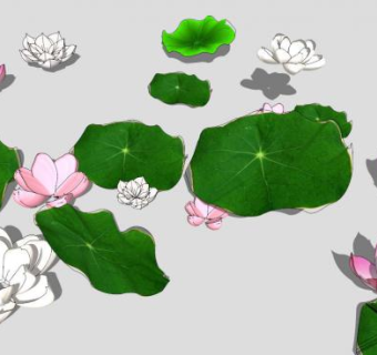 荷叶su模型下载_sketchup草图大师SKP模型