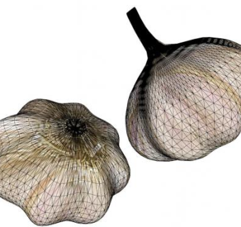 大蒜su模型下载_sketchup草图大师SKP模型