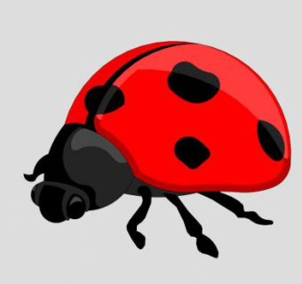 瓢虫su模型下载_sketchup草图大师SKP模型