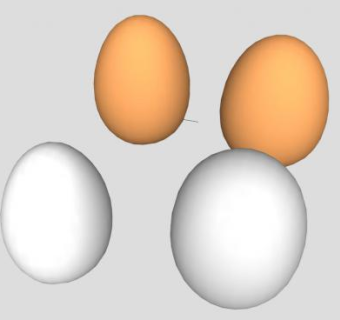鸡蛋su模型下载_sketchup草图大师SKP模型
