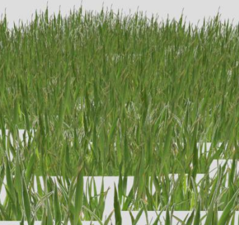 草坡su模型下载_sketchup草图大师SKP模型