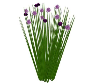 菖蒲su模型下载_sketchup草图大师SKP模型