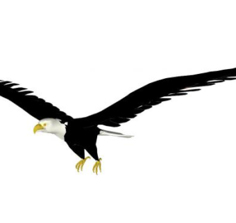 飞鸟su模型下载_sketchup草图大师SKP模型