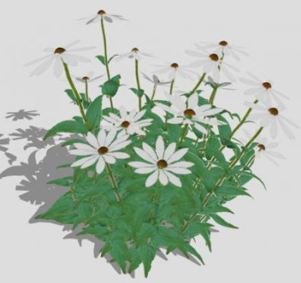 菊花su模型下载_sketchup草图大师SKP模型