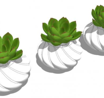 多肉su模型下载_sketchup草图大师SKP模型