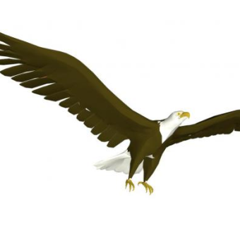 鹰su模型下载_sketchup草图大师SKP模型