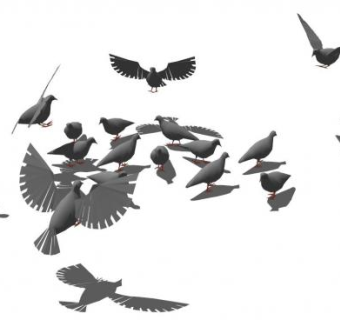 鸽子su模型下载_sketchup草图大师SKP模型