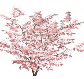 海棠su模型下载_sketchup草图大师SKP模型