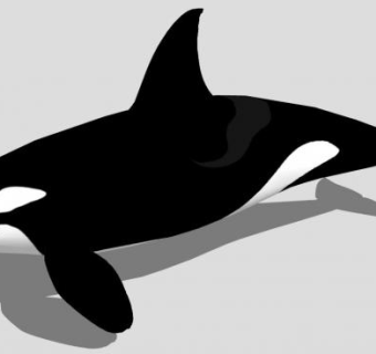 鲸鱼su模型下载_sketchup草图大师SKP模型