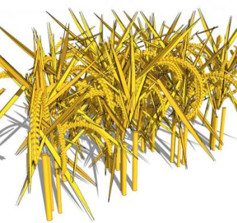 水稻su模型下载_sketchup草图大师SKP模型