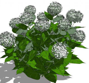 花球su模型下载_sketchup草图大师SKP模型