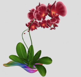 观花植物SU模型下载_sketchup草图大师SKP模型