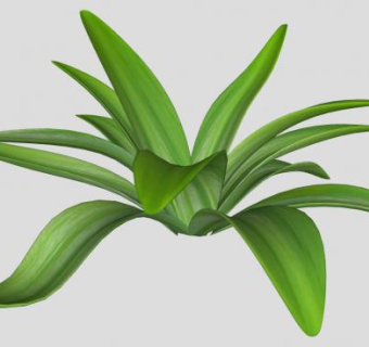 龙舌兰SU模型下载_sketchup草图大师SKP模型