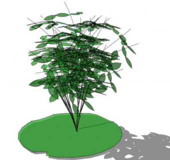 简单的多茎灌木SU模型下载_sketchup草图大师SKP模型