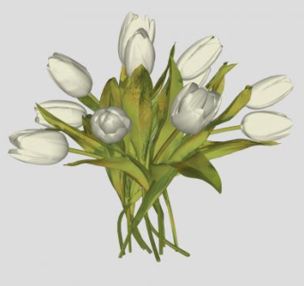 白色郁金香SU模型下载_sketchup草图大师SKP模型