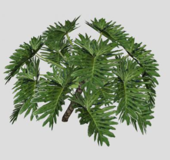 喜林芋SU模型下载_sketchup草图大师SKP模型