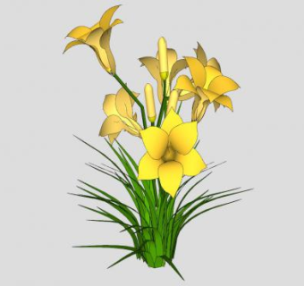 忘忧草SU模型下载_sketchup草图大师SKP模型