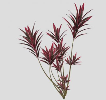 花草植物SU模型下载_sketchup草图大师SKP模型