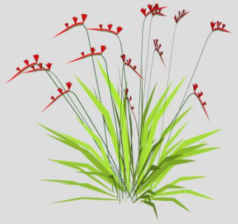 香根鸢尾植物SU模型下载_sketchup草图大师SKP模型
