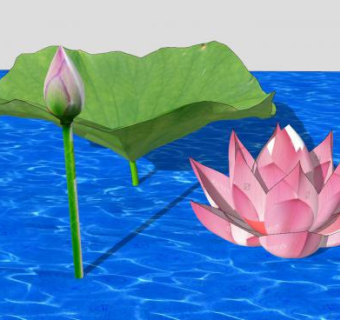 水生荷花荷叶SU模型下载_sketchup草图大师SKP模型