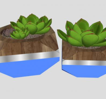 多肉盆栽SU模型下载_sketchup草图大师SKP模型