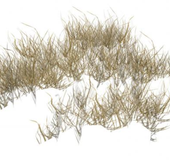 枯草SU模型下载_sketchup草图大师SKP模型