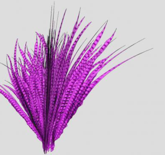雉鸡翎SU模型下载_sketchup草图大师SKP模型