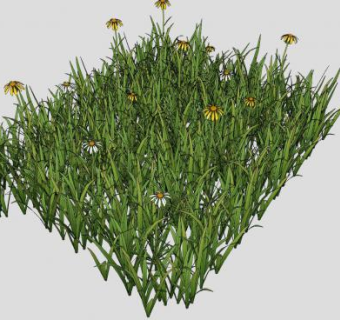 松果菊草丛SU模型下载_sketchup草图大师SKP模型