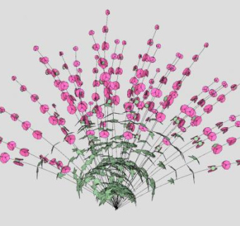 花葵植物SU模型下载_sketchup草图大师SKP模型