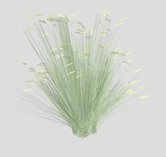 格兰马草SU模型下载_sketchup草图大师SKP模型