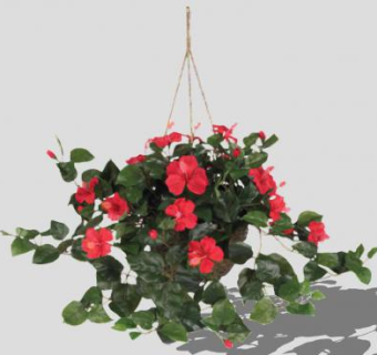 红木槿SU模型下载_sketchup草图大师SKP模型