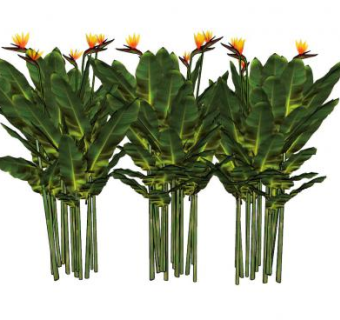 鹤望兰SU模型下载_sketchup草图大师SKP模型