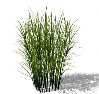 芒草绿草SU模型下载_sketchup草图大师SKP模型