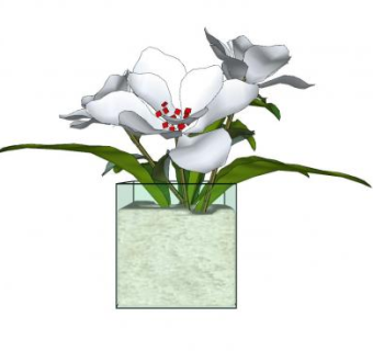 观赏盆栽SU模型下载_sketchup草图大师SKP模型