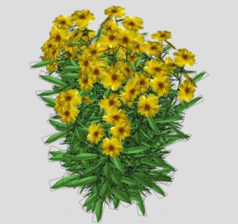 金鸡菊草本植物sketchup模型下载_sketchup草图大师SKP模型