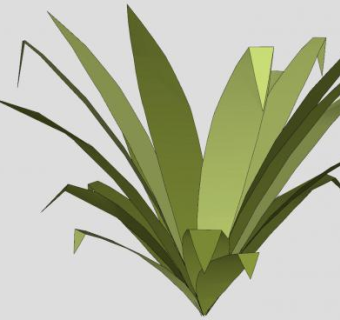 无花植物SU模型下载_sketchup草图大师SKP模型