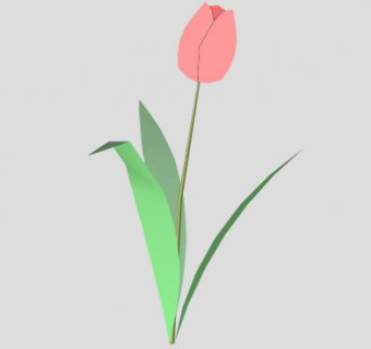 粉色郁金香sketchup模型下载_sketchup草图大师SKP模型